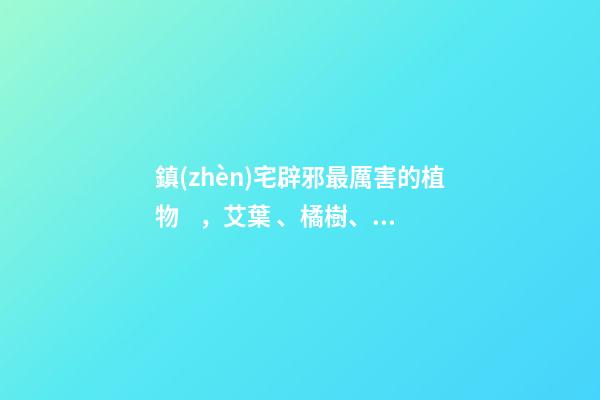 鎮(zhèn)宅辟邪最厲害的植物，艾葉、橘樹、桃樹等
